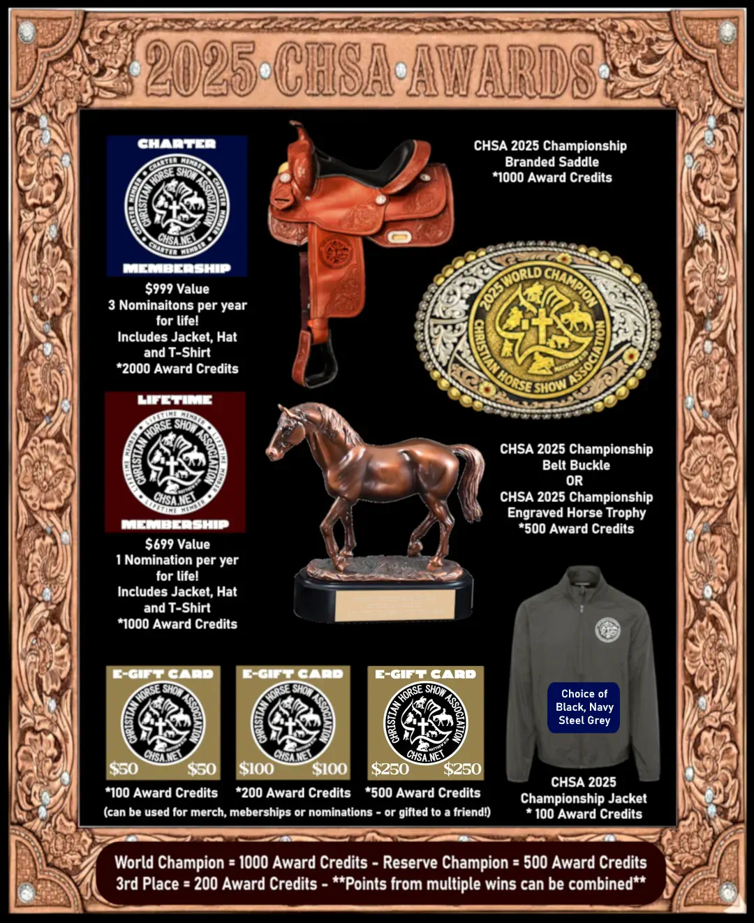 CHSA 2025 Awards